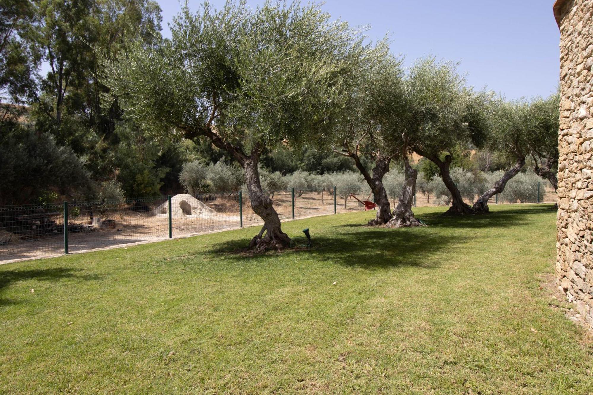 Willa Cortijo San Antonio De Trejo Setenil De Las Bodegas Zewnętrze zdjęcie