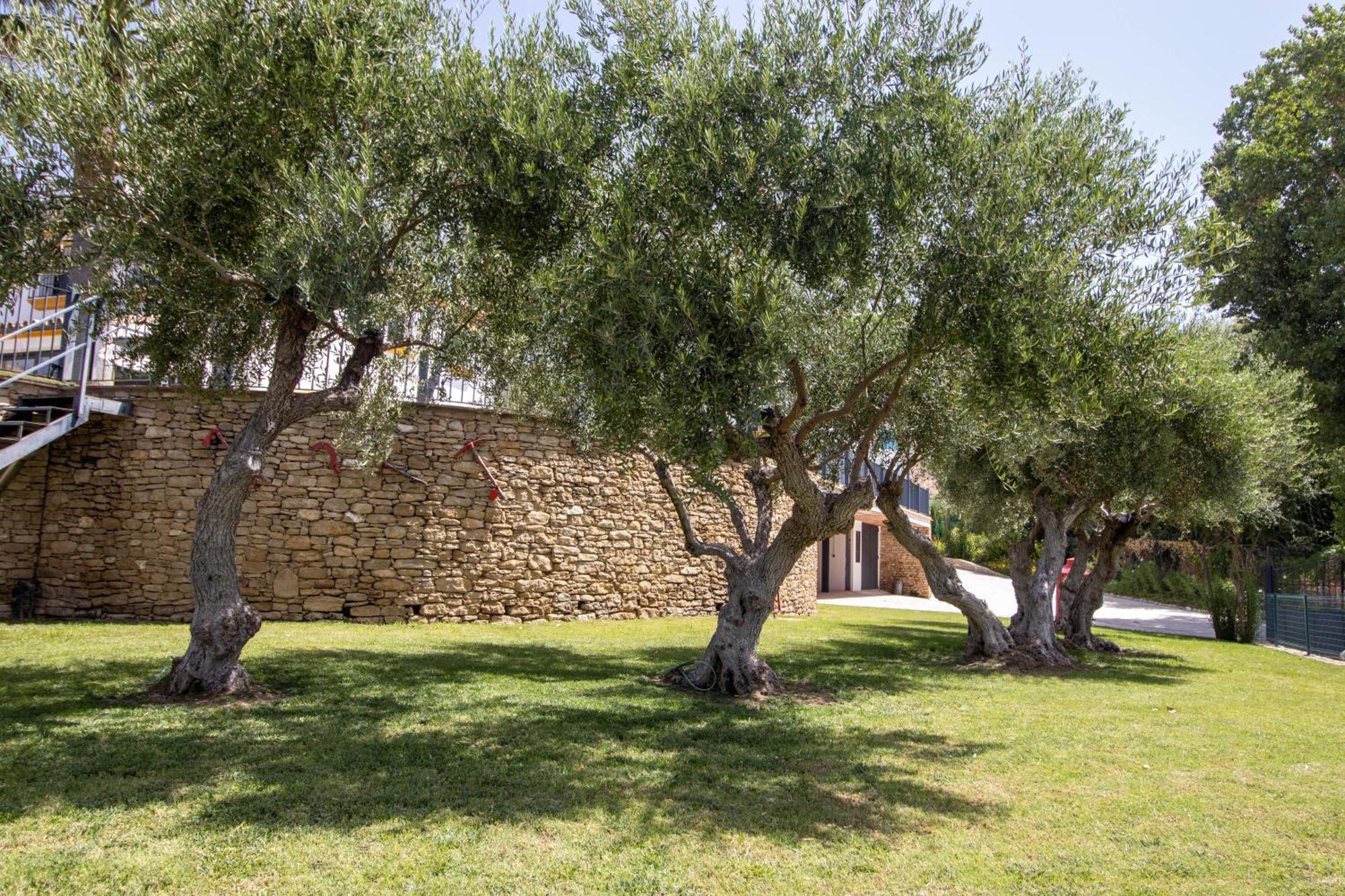 Willa Cortijo San Antonio De Trejo Setenil De Las Bodegas Zewnętrze zdjęcie